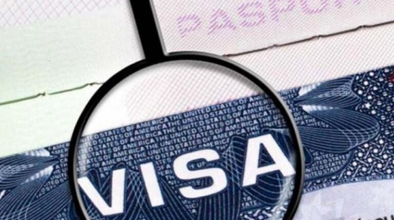 India suspends vacationer visas issued to Chinese language nationals: IATA