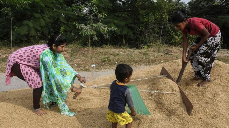 Surveillance intensified at TS borders to stop paddy arrivals