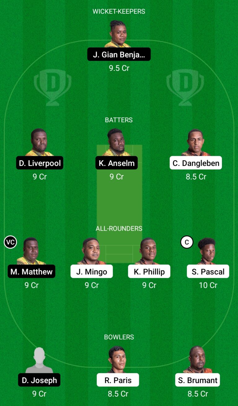 SSS vs BAW Dream11 Prediction, Delusion Cricket Pointers, Dream11 Crew, Enjoying XI, Pitch Record and Damage Replace