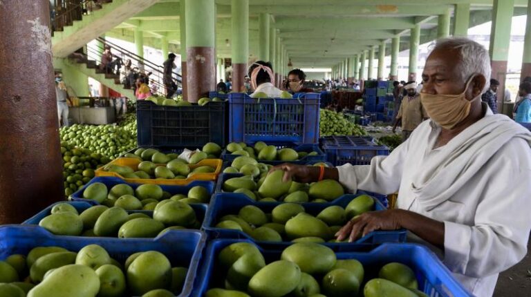 Mango buying and selling turns into candy once more after Covid