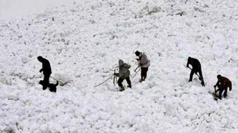 Ten mountaineers killed in Uttarakhand avalanche