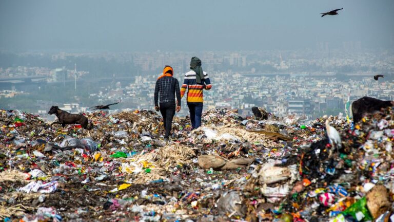 NGT Bureaucracy Panel to Take a look at Industries Dumping Hazardous Waste in Ganga Canal