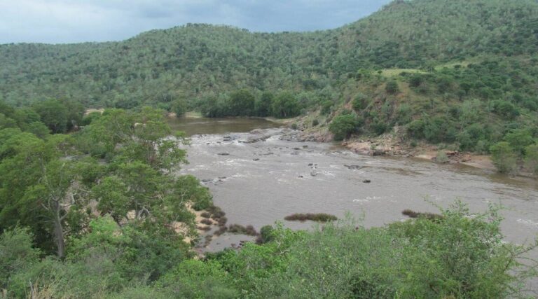 Tamil Nadu notifies Cauvery South Flora and fauna Sanctuary as state’s seventeenth natural world sanctuary