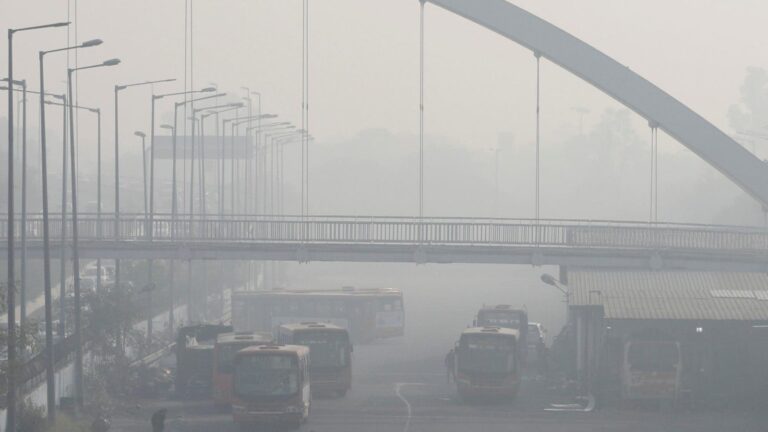 Delhi Data Minimal Temp of 8.3 Levels Celsius