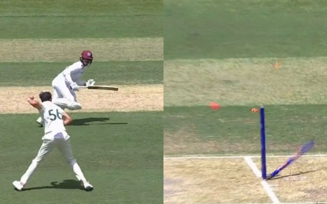 Mitchell Starc ends Tagenarine Chanderpaul’s vigil with sensible direct-hit