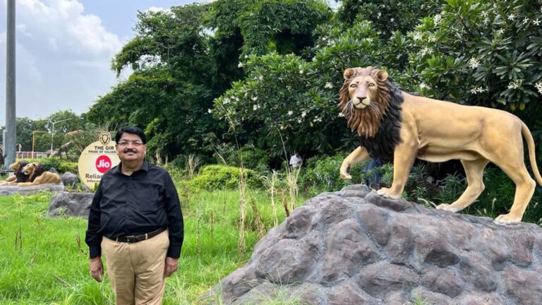 Asiatic Lion Reveals New House in Barda Natural world Sanctuary after over 140 Years